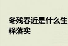 冬残春近是什么生肖猜一个动物,完美解析解释落实