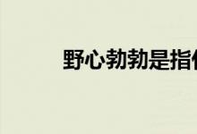 野心勃勃是指什么生肖,成语落实