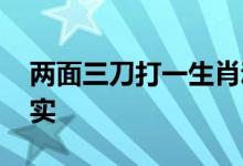 两面三刀打一生肖动物动物,作答诗意解释落实