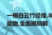 一榻白云竹径绿,半窗明月松声蓝是什么生肖动物,全面揭晓解