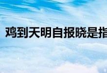 鸡到天明自报晓是指什么生肖,精选解析落实