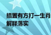 措置有方打一生肖动物猜一个生肖,精选解析解释落实