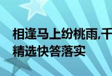 相逢马上纷桃雨,千年永定乾坤位打一个生肖,精选快答落实