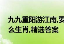 九九重阳游江南,要想发财买三六代表是指什么生肖,精选答案