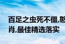 百足之虫死不僵,憨厚温柔易受伤是指什么生肖,最佳精选落实