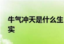 牛气冲天是什么生肖猜一个动物,词语解释落实