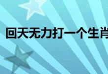 回天无力打一个生肖动物,详细释义解释落实