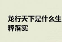 龙行天下是什么生肖解一个动物生肖,全面解释落实