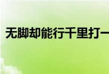 无脚却能行千里打一生肖动物,精选解释落实