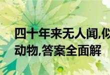 四十年来无人闻,似锦前程奋斗得打一个生肖动物,答案全面解