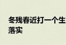 冬残春近打一个生肖动物动物,诗意解读解答落实