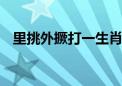 里挑外撅打一生肖动物数字,标准解释落实