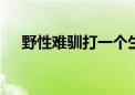 野性难驯打一个生肖,精选快答解释落实