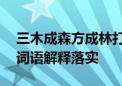 三木成森方成林打一种生肖打一个生肖动物,词语解释落实