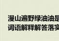 漫山遍野绿油油是什么生肖打一个生肖动物,词语解释解答落实