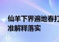 仙羊下界遍地春打一生肖猜一个动物生肖,标准解释落实