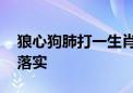 狼心狗肺打一生肖动物打一种生肖,答案解释落实