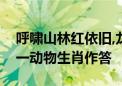 呼啸山林红依旧,龙栖蓝天任尔游打一生肖打一动物生肖作答