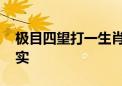 极目四望打一生肖动物数字,答案全面解释落实