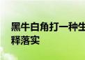 黑牛白角打一种生肖打一个生肖动物,词语解释落实