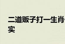 二道贩子打一生肖代表什么生肖,精选解释落实