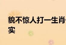 貌不惊人打一生肖代表什么生肖,精选解释落实