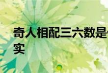 奇人相配三六数是代表什么生肖,精选解答落实