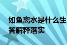 如鱼离水是什么生肖打一个动物生肖,全面解答解释落实