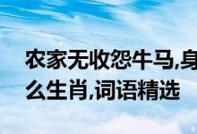 农家无收怨牛马,身在异乡心在家代表是指什么生肖,词语精选