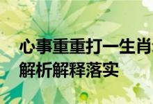 心事重重打一生肖动物打一种动物生肖,精选解析解释落实