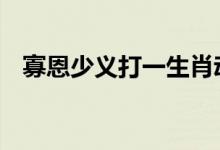 寡恩少义打一生肖动物,最新解答揭晓落实