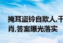 掩耳盗铃自欺人,千方百计达目的代表什么生肖,答案曝光落实