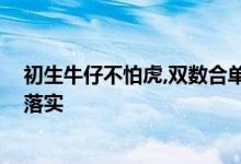 初生牛仔不怕虎,双数合单灵码现打一个生肖动物,词语解释落实