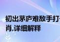 初出茅庐难敌手打一个生肖说的是什么动物生肖,详细解释