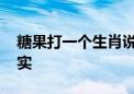 糖果打一个生肖说一种动物,重点解答解释落实