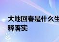 大地回春是什么生肖打一个生肖动物,词语解释落实