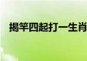 揭竿四起打一生肖动物数字,标准解释落实