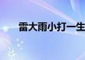 雷大雨小打一生肖数字,精选解释落实