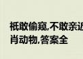 祇敢偷窥,不敢亲近;八配灵码字中巧打一个生肖动物,答案全