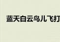 蓝天白云鸟儿飞打个一生肖,作答解释落实