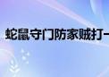 蛇鼠守门防家贼打一生肖数字,精选解释落实