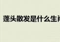 蓬头散发是什么生肖数字,仔细作答解释落实