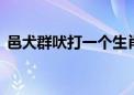 邑犬群吠打一个生肖动物动物,详细解释落实