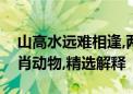 山高水远难相逢,两小无猜伴到老打一最佳生肖动物,精选解释