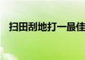 扫田刮地打一最佳生肖动物,精选解释落实