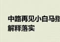 中路再见小白马指什么生肖猜一个动物,词语解释落实