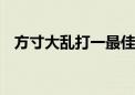 方寸大乱打一最佳生肖动物,精选解释落实