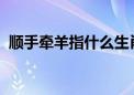 顺手牵羊指什么生肖打一动物权威揭晓落实