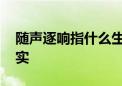 随声逐响指什么生肖猜一个动物,答案解释落实