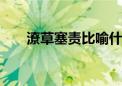 潦草塞责比喻什么生肖,精选答案落实